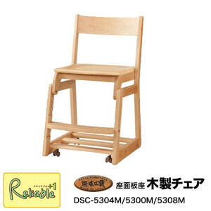 [₢킹 2025N l{H| ؐ`FAy DSC-5304M/5300M/5308MziN 5304MȊO͎󒍐Y YƋyS/184z