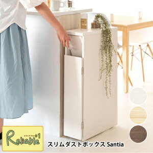 X_Xg{bNX DB-F170 30L ݔ S~ 17cm X t CeA  ؖڒ  X^CbV Santia TeBA {쏊yS/Y 146z