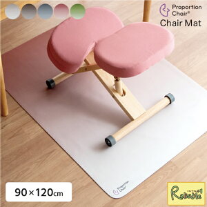 v|[V`FA}bg (90×120cm) PMT-1290 ی LYh~ h ~ߑf g[Ή  `FA}bg Of[VJ[ {쏊yY/C 112z