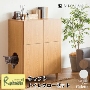 LbggCN[[bg CR-1011 Galetta Kb^ uE zCg i` Lrlbg [ ډB LgC ؖ rO {쏊yN 164z