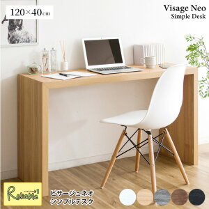 VvfXN DT-1005R rT[W lI Visage Neo 120cm×40cm zCg i` uE O[ ubN JE^[fXN  e[u {쏊yC 208z