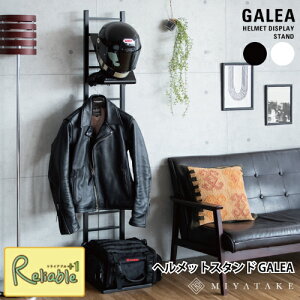 wbgX^h GALEA KA HST-1620 ({́{wbg1) oCNpi EGA [ fBXvC bN {쏊yS/Y 123z