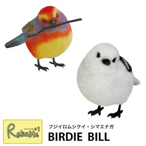 BIRDIE BILL OeCheBbh(2915) zCgu[heBbh(57985) o[fBr V}GiK tWCVNC [  magnetySzyŒZz