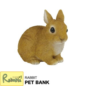 PET BANK(ybgoN) RABBIT ETM(974)rbg  IuWF GL]`bNAj} u CeA G magnetyS 32.8zyŒZz