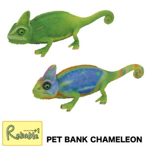 PET BANK CHAMELEON(ybgoN JI)yCHAMELEON JI@O[/C{[z500~ʒ AȃAj} CeA u Mtg  oN magnetyS/Y 51.5z