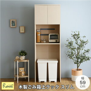 ₩ȖؐݔドbN X^Cv 59cm RBFLLW-T2S--WHWzCgEHbV W WbN HI X RZgt  V l炵