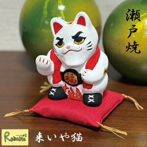 L VBIZ001-WH ܂˂L L ˏ X[  J^ N  ɐ u  JXj Mtg 蕨y40z