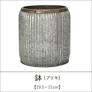 yő3,000~OFFN[|LIPT3{IubNtCf[z uL 46×51cm | Aؔ  A |bg K[fjO 悹A Vv _ uL 񂹐A AeB[N