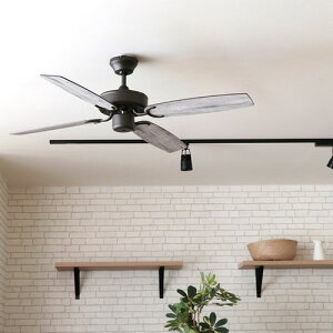  V[Ot@ | V[O t@ XΓV a Ebh ^    ubN  Rt _CjO Be[W _ Vv CeA JtF