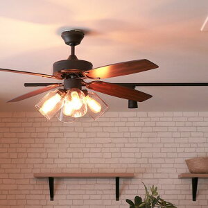  V[Ot@ 4 | V[O Cg t@ Ɩ a Ebh  LED VƖ   ubN  Rt _CjO Be[W _ Vv Ce