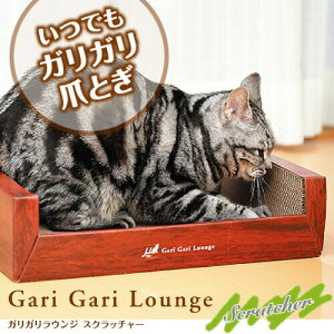 EW^NE`O^Cv KKEW Lp ܂Ƃ | _{[ L ܂Ƃ ܌ i{[ ߂Ƃ XNb`[ CeA ~[ GCNGCc lR  _{