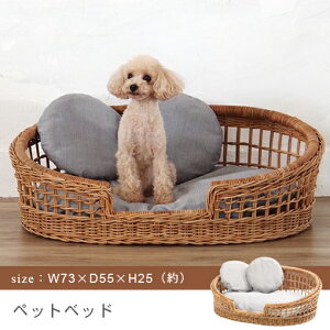  ybgJh[ ybgxbh | G ybg Jh[ xbh CeA oXPbg   ^ AWA y R VRf IV 킢 NbV CeA oXPbg 