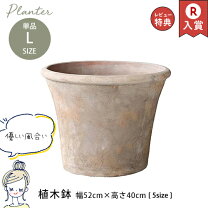 楽天市場】17号 植木鉢の通販