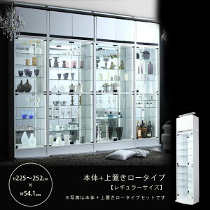 yő3,000~OFFN[|LIPT3{IubNtCf[z RNVV[P[X 54.1 225?252 | VFt bN V[P[X fBXvC I RNV KX 