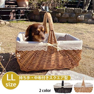  oXPbg  zt LL | oXPbg JS  [  [oXPbg [ k  CeA킢 G oXPbg t [  AWAG o