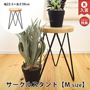 T[NX^h MTCY | t[X^h ؐ K[ft@j`[ K[fjO ԑ X^h u Aؔ | x_K[f ؐX^h TChe[u \t@e[u 