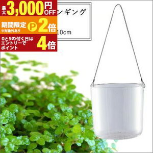 �y�ő�3,000�~OFF�N�[�|���L/13�`15������EPT2�{/15������z�e�����E�� �n���M���O ��13×10cm | �n���M���O �e�����E�� �A�ؔ� �C���e���A �|�b�g �K�[�f�j���O �悹�A�� �V���v�� ���_��