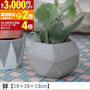 �y�ő�3,000�~OFF�N�[�|���L�EPT2�{�I�労�ӍՁz�� 19×19×13cm | �A�ؔ� �� ���A�� �|�b�g �K�[�f�j���O �悹�A�� �V���v�� ���_��