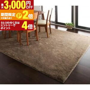 �y�ő�3,000�~OFF�N�[�|���L�EPT2�{�I�労�ӍՁz���O �h�_�j ���L �h�� �R�A�����M�[�@�\�t�� �t�F�C�N�t�@�[���O 200×250cm �V���v�� ���_�� �f�U�C�� �C���e���A �Ƌ� �Q�� ���r���O ���K �ȃX