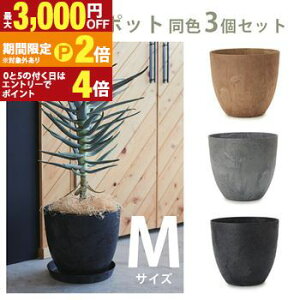 �y�ő�3,000�~OFF�N�[�|���L�EPT2�{�I�労�ӍՁz�K�[�f���|�b�g[M] ���F3�Z�b�g | �v�����^�[ �Z�b�g �A�� �� ���A�� ���O ������� �K�[�f�� �A�ؔ� �K�[�f�j���O �|�b�g ����v�����c�M���U