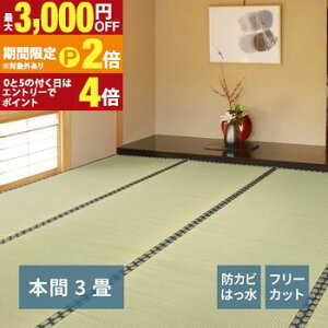 �y�ő�3,000�~OFF�N�[�|���L�EPT2�{�I�労�ӍՁz�t���[�J�b�g���t�� �����J�[�y�b�g �݂��� �{�� 3�� 191×286 �����J�[�y�b�g �������O �J�[�y�b�g �t���[�J�b�g ���t�� �{�ԃT�C�Y �a�� �����}