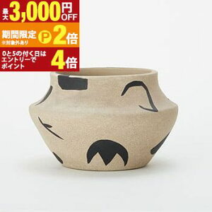 �y�ő�3,000�~OFF�N�[�|���L�EPT2�{�I�労�ӍՁz���| �C���e���A �|�b�g 14 ceramic ���^�C�v �� �ϗt�A���p �ԕr �Ԋ� �t�����[�x�[�X ������� �x�[�X �C���e���A ���_�� ������ �����A�� ���� 