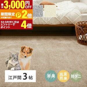 �y�ő�3,000�~OFF�N�[�|���L�EPT2�{�I�労�ӍՁz���L�E�R�ۃJ�[�y�b�g �]�ˊ�3�� ��176×261cm �y�b�g�ɂ₳���� 8����L�E�R�� �J�[�y�b�g �A�C�{���[ �R�ۉ��H ���L �h�L �p�C���n �z�b�g�J�[�y