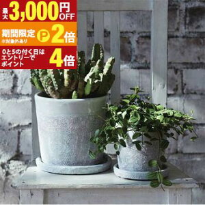 �y�ő�3,000�~OFF�N�[�|���L�EPT2�{�I�労�ӍՁz�K�[�f���|�b�g ���T�C�Y2�Z�b�g | �v�����^�[ �Z�b�g �󂯎M�t�� �A�� �� ���A�� ���O ������� �K�[�f�� �A�ؔ� �K�[�f�j���O �|�b�g ����v