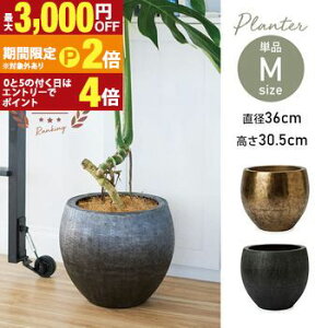 �y�ő�3,000�~OFF�N�[�|���L/13�`15������EPT2�{/15������z��^ ��^�v�����^�[ �v�����^�[ �� �A�ؔ� ���� �I�t�B�X �r�� �A���e�B�[�N�S�[���h �~���N�u���b�N �� �� �C���e���A �뉀 ���| �z