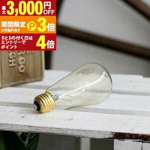 �y�ő�3,000�~OFF�N�[�|���L�E15��PT3�{�I���������}���\���z�P�i �G�W�\���d�� ����E26 60W | �d�� ���C�g �d�C �Ɩ� �^���O�X�e���t�B�������g �K���X �G�W�\���o���u �t�B�������g E26 100V ���_