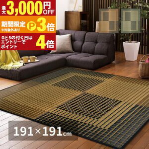 �y�ő�3,000�~OFF�N�[�|���L�E15��PT3�{�I���������}���\���z���Y�������O �E�� 191×191cm �������O ���O �J�[�y�b�g ���� ���� �C���e���A ������� �V���v�� �k�� ���_�� ����~�� �􂦂� �R�� 