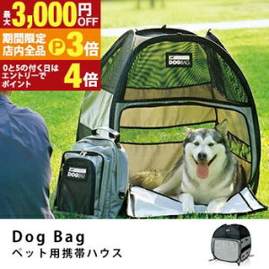 yő3,000~OFFN[|LIPT3{IX[p[SALEz DOgBAg hbOobO MTCY | ybg L  eg ybgnEX ybgeg Lv AEghA