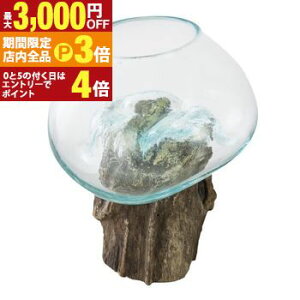 yő3,000~OFFN[|LIPT3{IX[p[SALEzOXIuWF  KX | IuWF CeA   G CeAG u A[g ԉo o lC   