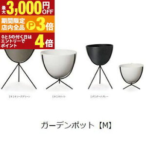 yő3,000~OFFN[|LIPT3{IX[p[SALEzK[f|bg M | v^[ Aؔ K[fjO K[f  |bg v^[ Aؔ   킢 vcMUO 