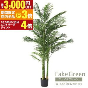 yő3,000~OFFN[|LIPT3{IX[p[SALEztFCNO[ | AJV GRN-19 CeA rO _CjO K[f lHA lH ϗtA  U A R  