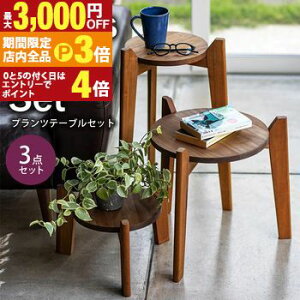 yő3,000~OFFN[|LIPT3{IX[p[SALEzvce[u | v^[X^h t[X^h TChe[u ؐ  W_ vce[uZbg ϗtA X^