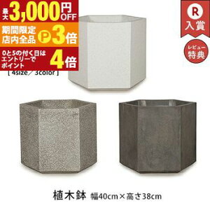 yő3,000~OFFN[|LIPT3{IX[p[SALEzK[f|bg M | Aؔ ^ 40cm 38cm Aؔ  Aؔ v^[ ȐAؔ  Zg v^[ Aؔ 