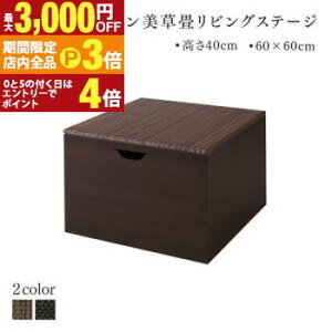 yő3,000~OFFN[|LIPT3{IX[p[SALEzrO[ `FXg Lrlbg ^X er Y [tfUC􃊃rOXe[W {bNX[ 60×60cm nC^Cv