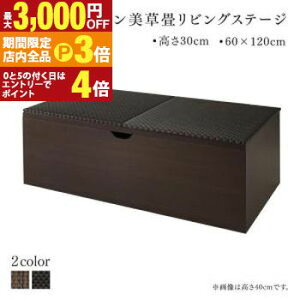 yő3,000~OFFN[|LIPT3{IX[p[SALEzrO[ `FXg Lrlbg ^X er Y [tfUC􃊃rOXe[W {bNX[ 120×60cm [^Cv