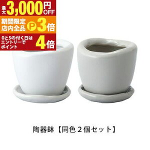 yő3,000~OFFN[|LIPT3{IX[p[SALEz픫 F2Zbg | Aؔ  픫 20cm  Vv|bg v^[ K[f|bg |bg  Aؔ v^[ A 