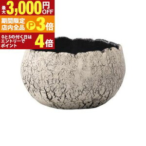 yő3,000~OFFN[|LIPT3{IX[p[SALEzV L v^[ Aؔ ԕr  I IV   f fp  v^[  GgX 킢  t