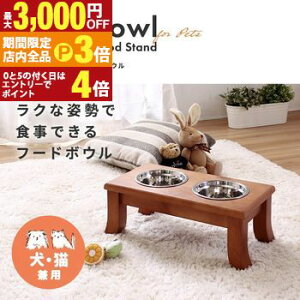 yő3,000~OFFN[|LIPT3{IX[p[SALEzybgp pC X^h^ t[h{E 43cm s22.4cm hbOt[h Lbgt[h ͂ ybg  L