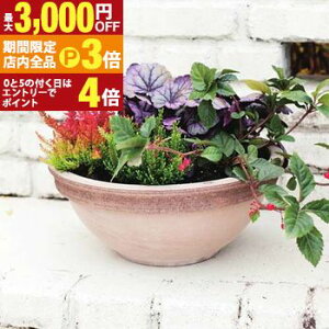 yő3,000~OFFN[|LIPT3{IX[p[SALEzK[f|bg MTCY 2Zbg | v^[ 2_ Zbg A  A O  K[f Aؔ K[fjO |bg v