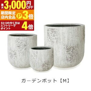 yő3,000~OFFN[|LIPT3{IX[p[SALEzK[f|bg M | v^[ TCY K[f|bg |bg  Aؔ v^[ A K[fpi |pi  K[fjO