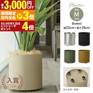 yő3,000~OFFN[|LIPT3{IX[p[SALEz^v^[ Aؔ  v^[ ^ tF V_[ LX^[t AC{[ ubN I[uO[ }X^[hCG