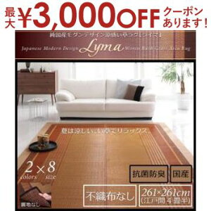 yő3,000~OFFN[|LI1 PT2{Iz ]ˊ4F261×261cm YO sDzȂ | _   ėp R hL }bg J[ybg ` Y_fUC