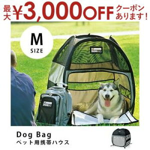 yő3,000~OFFN[|LI30 PT2{Iz DOgBAg hbOobO MTCY | ybg L  eg ybgnEX ybgeg Lv AEghA