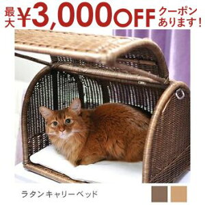 yő3,000~OFFN[|LIPT3{IubNtCf[z ^L[xbh | I[nhCh VRfރxbh Lbgxbh Lbg LbgnEX  gE ^ x