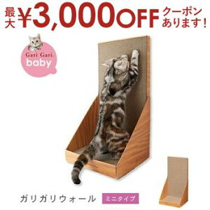 yő3,000~OFFN[|LI30 PT2{IzX^fBOE~j^Cv Lp ܂Ƃ _{[ | L lR Lp  c  ߂Ƃ ܂Ƃ Ђ KK CeA i` 