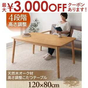 yő3,000~OFFN[|LI1 PT2{Iz e[u ` 120×80 |  e[u  VR VRI[N i`J[ i`eCXg I[N 